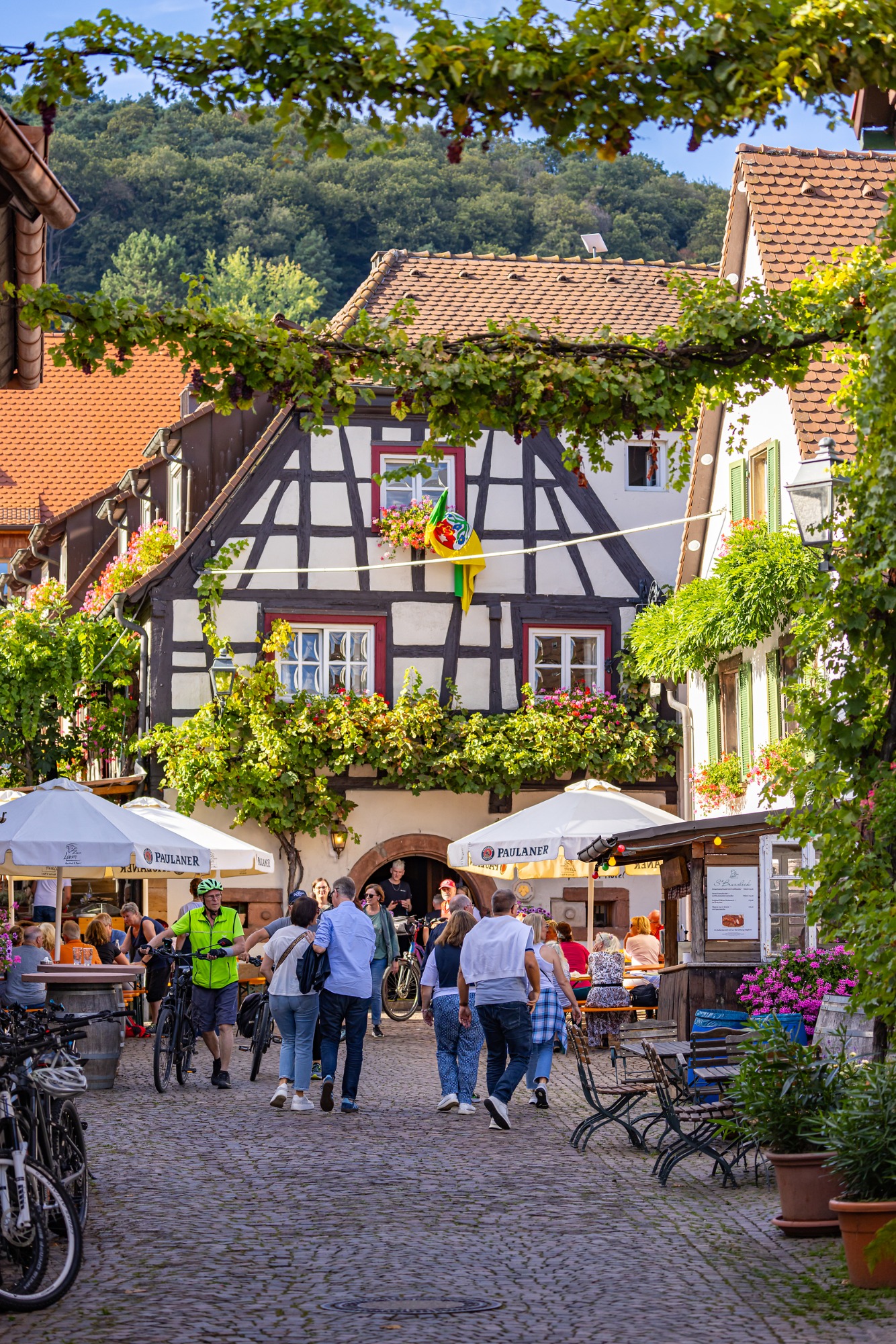 Weinfest in Gleiszellen