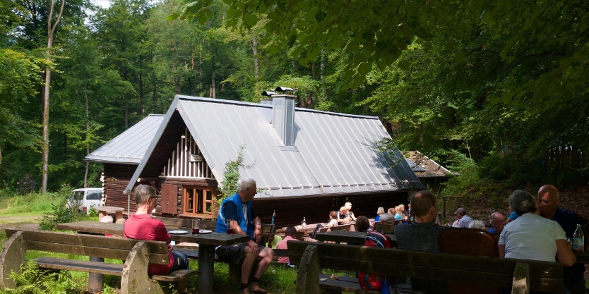 Wandern zur Böchinger Hütte Pfälzer Waldverein Wandern zu den Pfälzerwaldhütten