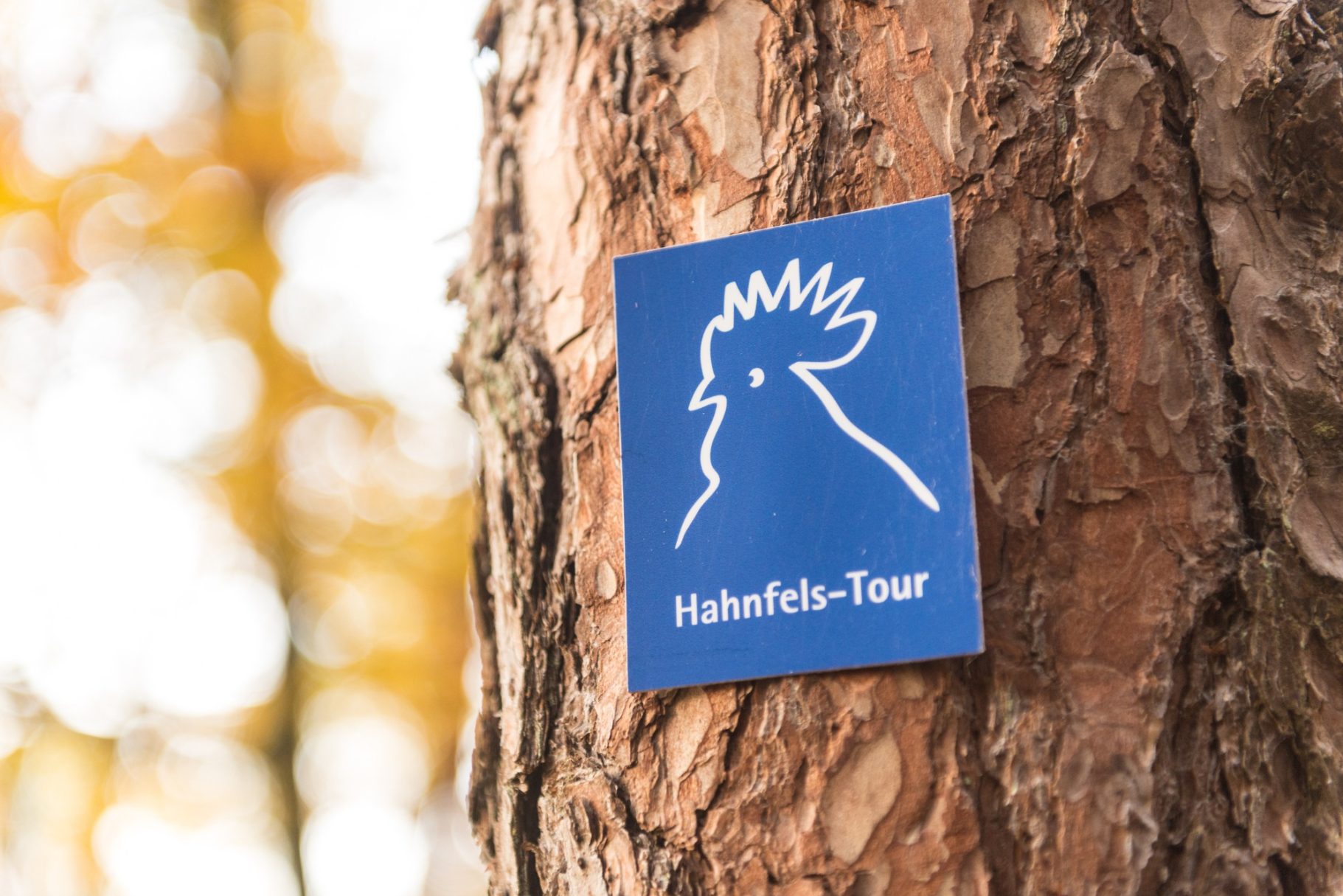 Premium Wanderweg