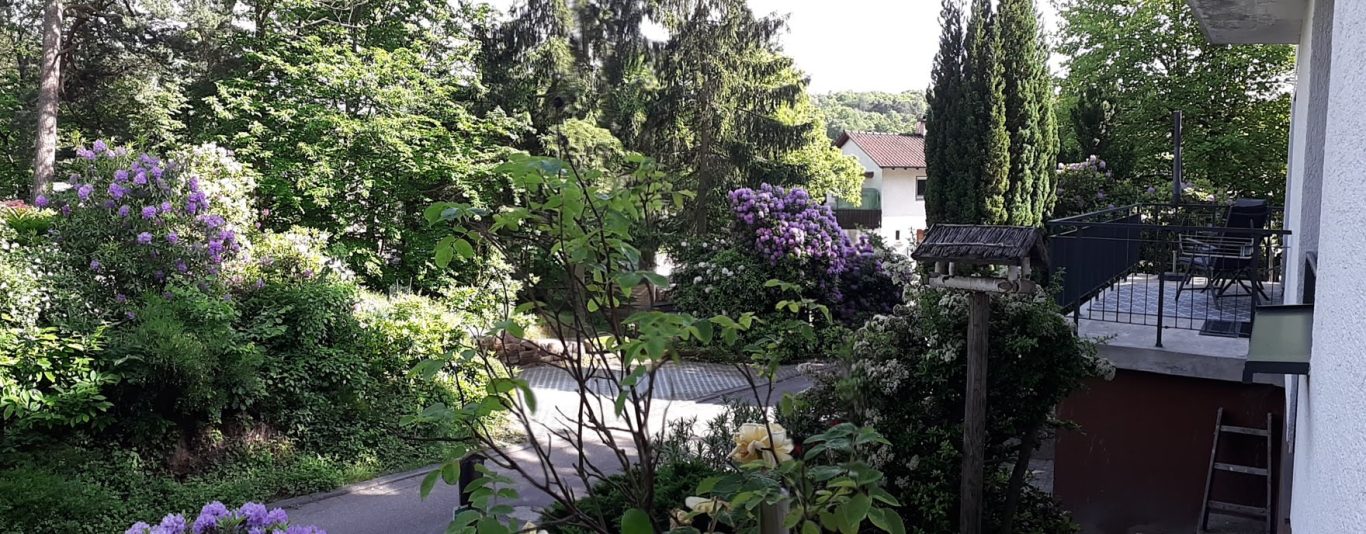 Blick auf Balkon und Zufahrt Rhododendronblüten
