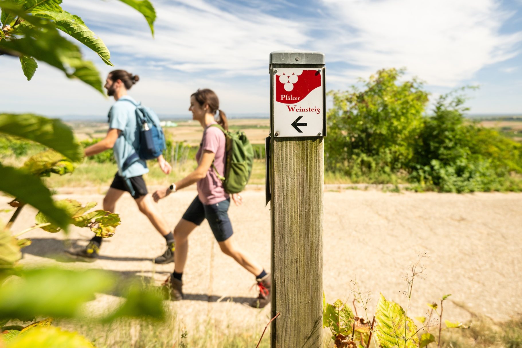 Pfälzer Weinsteig Premium Wanderweg