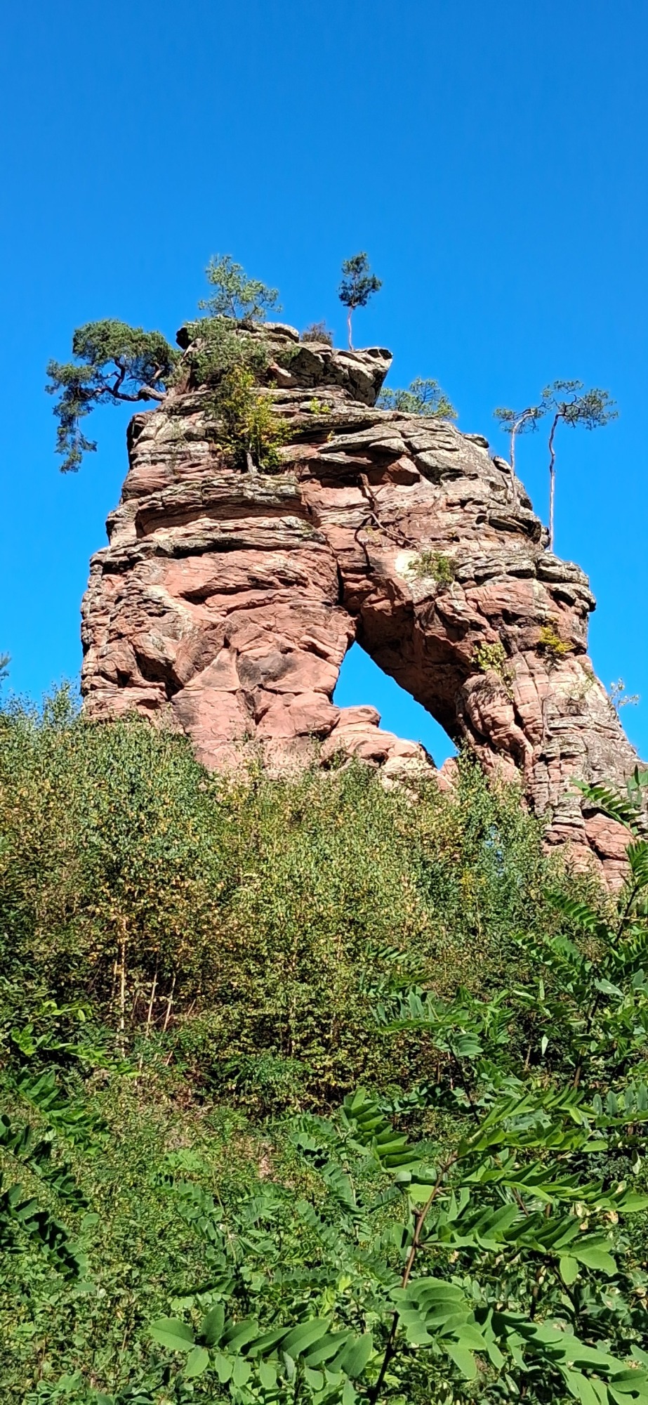 Schillerfelsen am Dahner Felsenweg